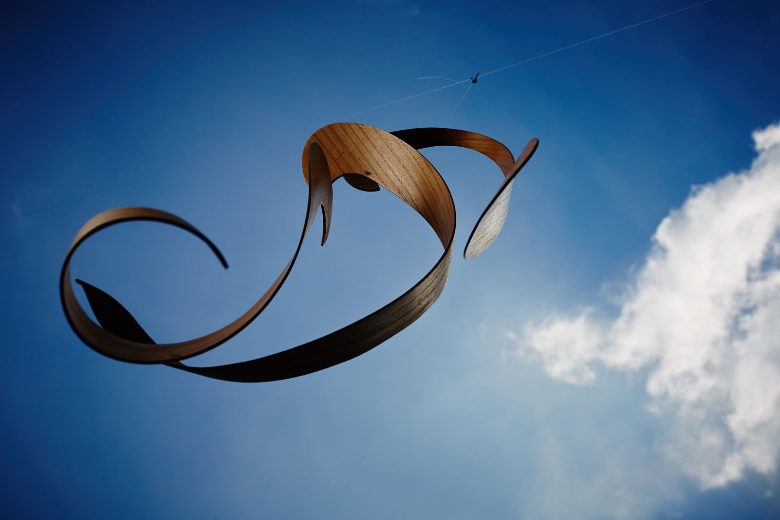 Juliet and Jamie Gutch, Garden Series