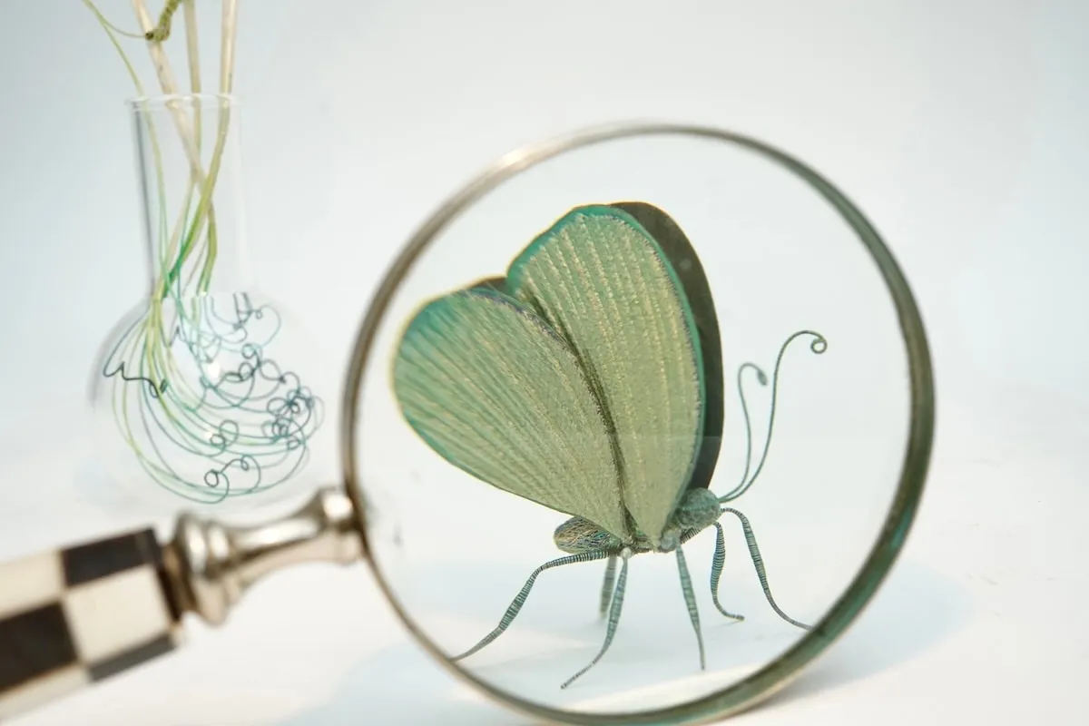 Bridget Bailey, Green Butterfly with Glass Dome