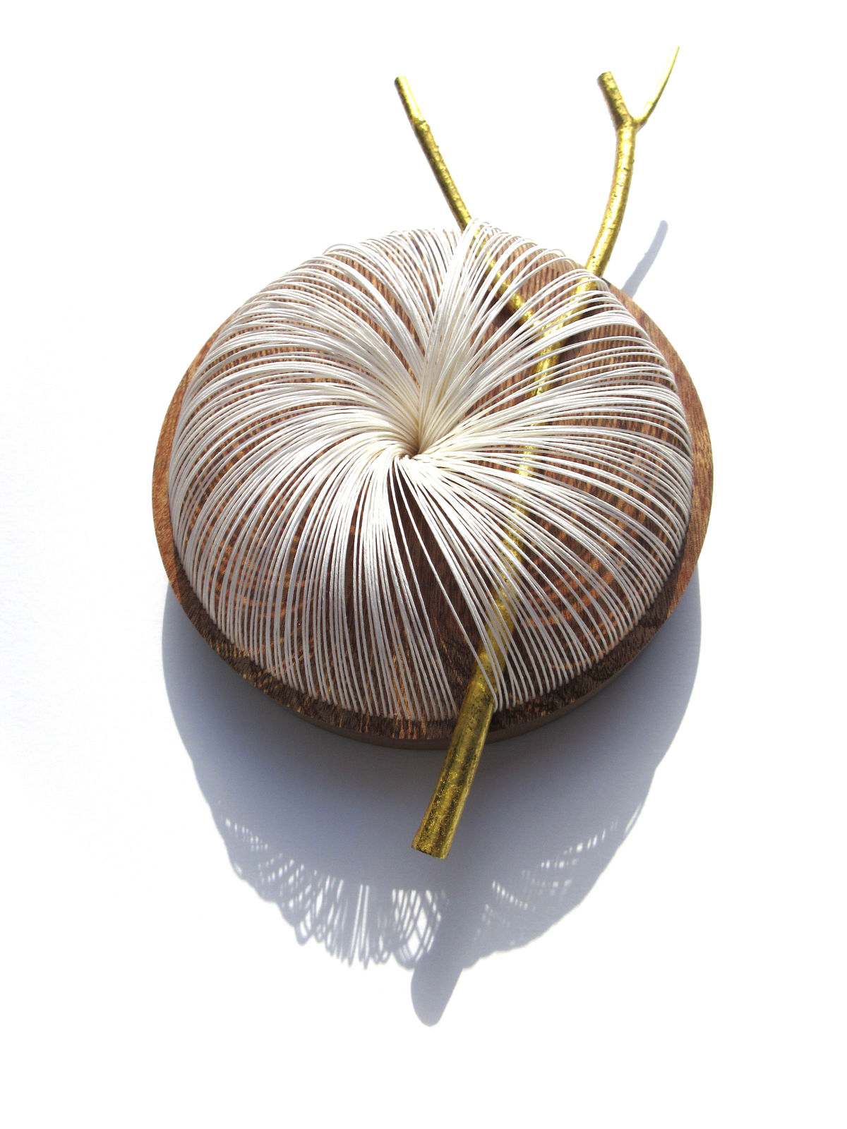 Kazuhito Takadoi, Youkou 2 (Sunlight 2)