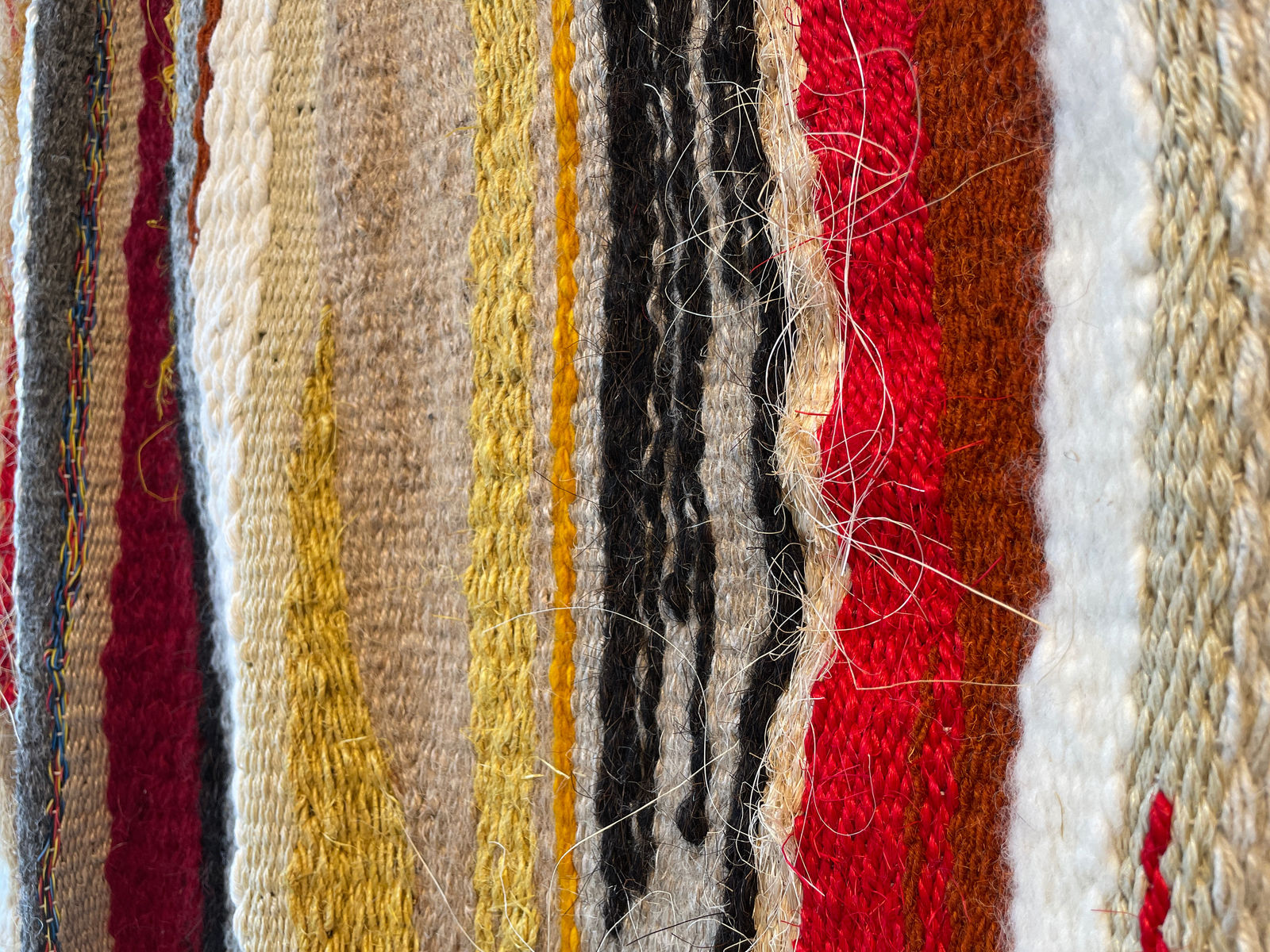 Justine Randall, Anthropocene