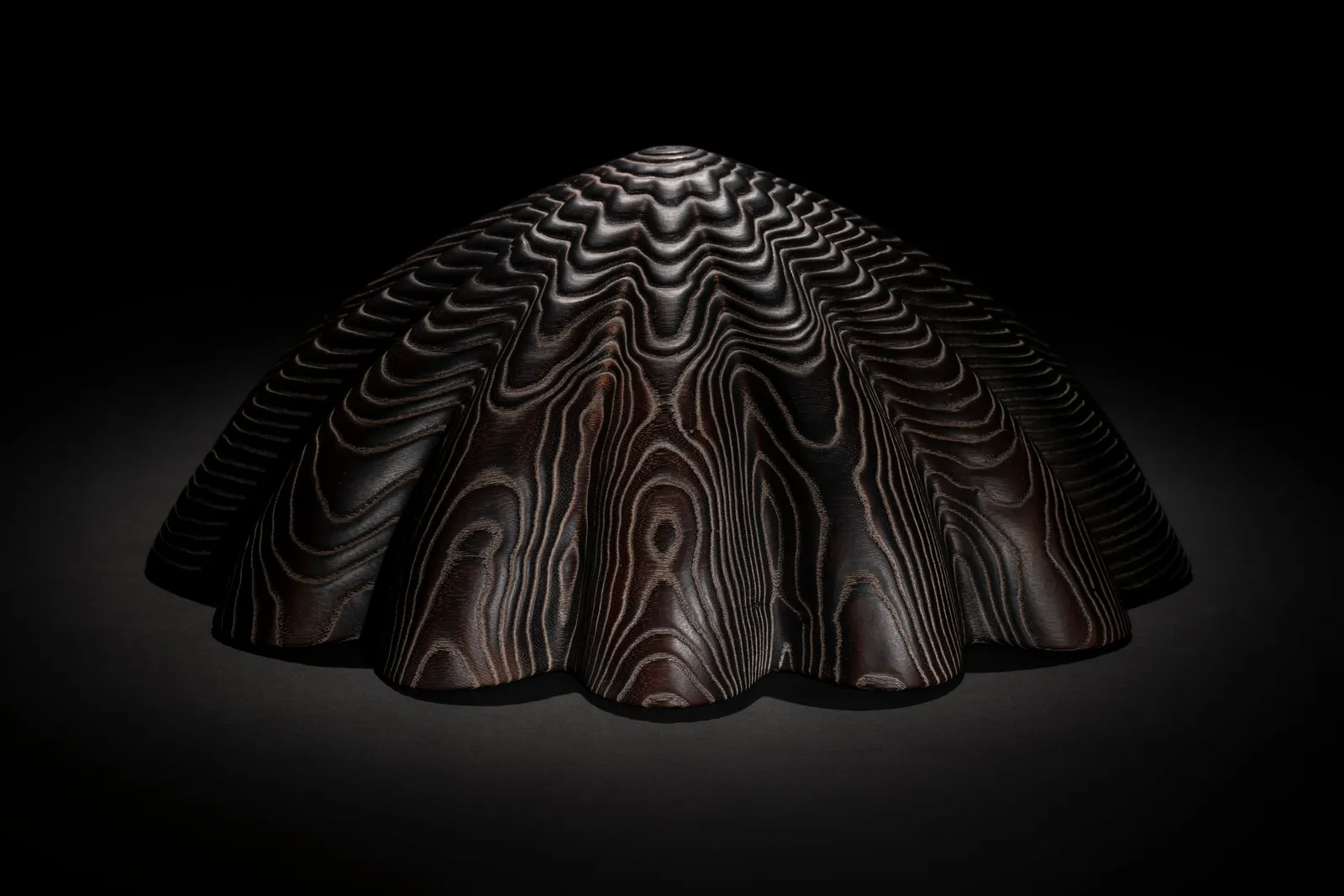 Duke Christie, Limpets