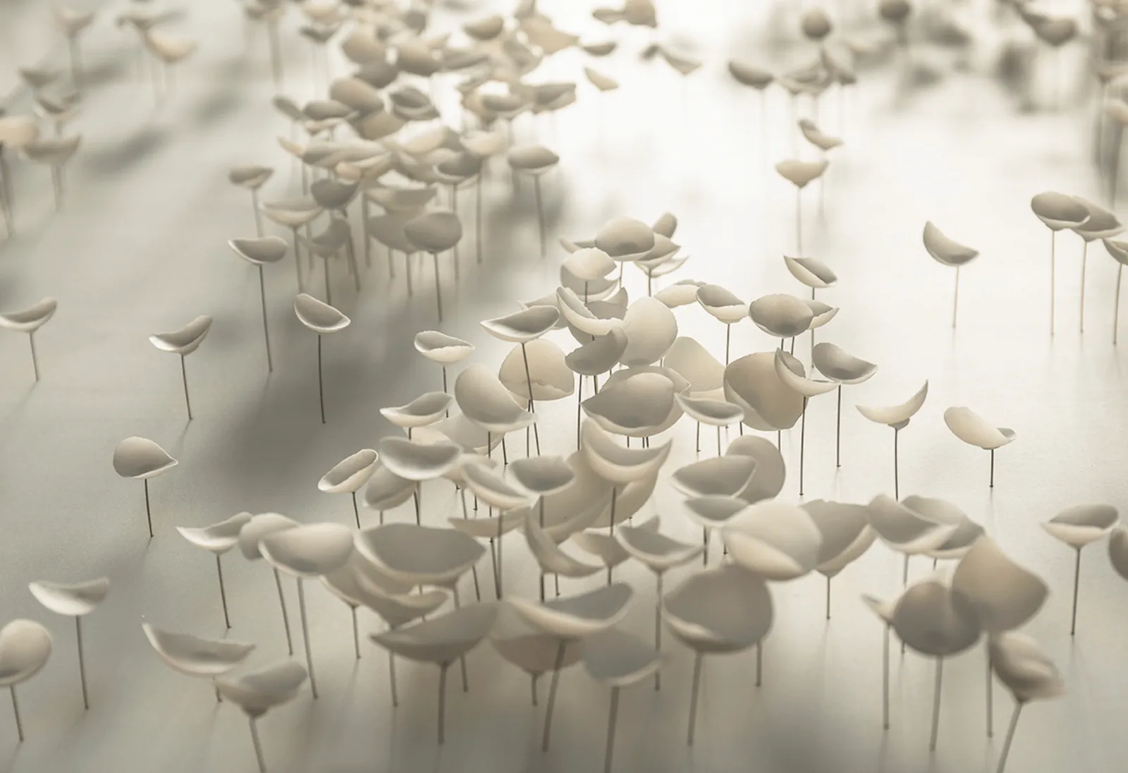 Valéria Nascimento, Drift