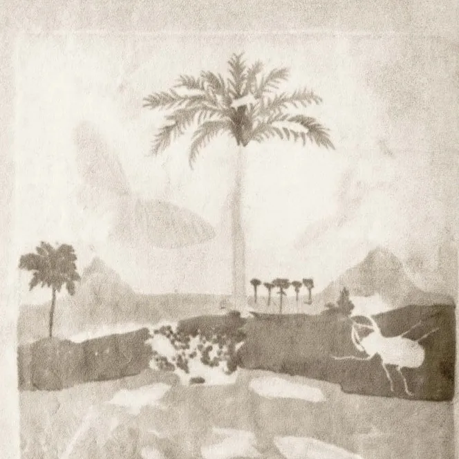 Sinje Dillenkofer, By Nature Series