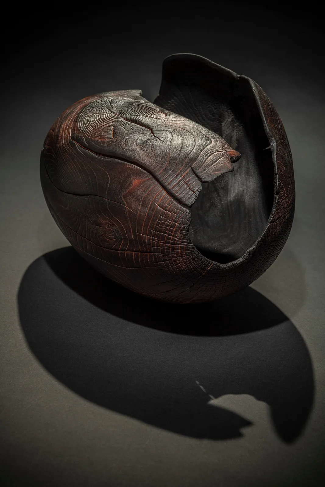 Duke Christie, Fire Seed