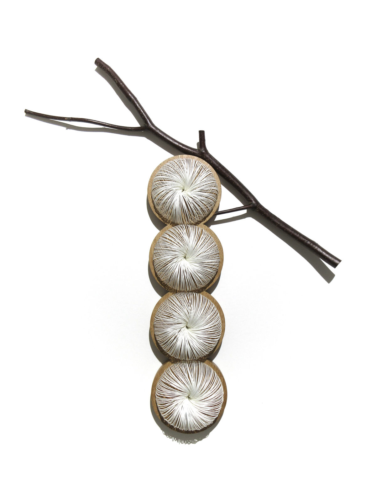 Kazuhito Takadoi, SHIZUKI 1 (Droplets 1)