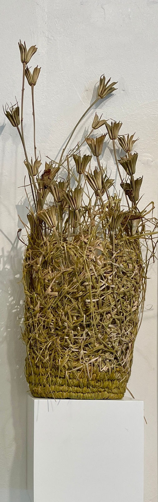 Maria Smith, Vessels