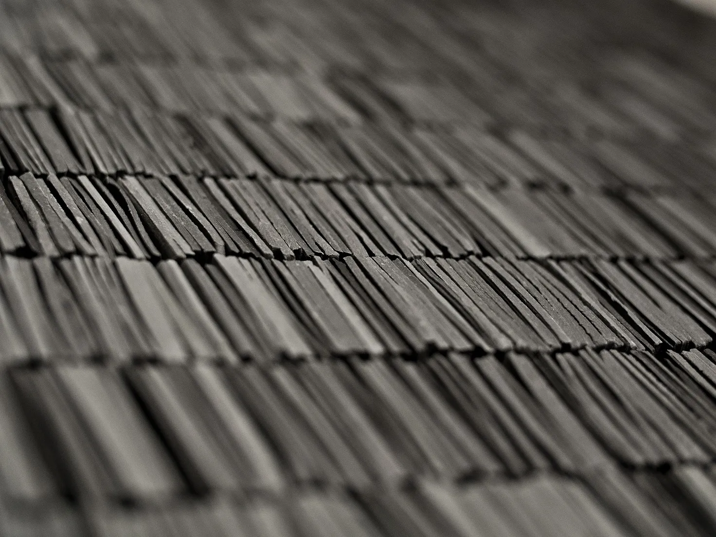 Lucas Ferreira, Grey Fade and Grey Factions