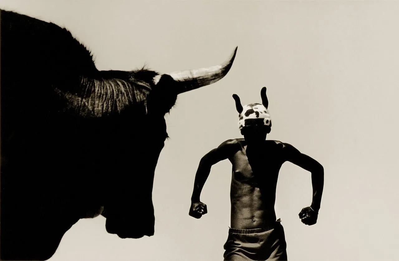 Stuart Redler, Animals Series