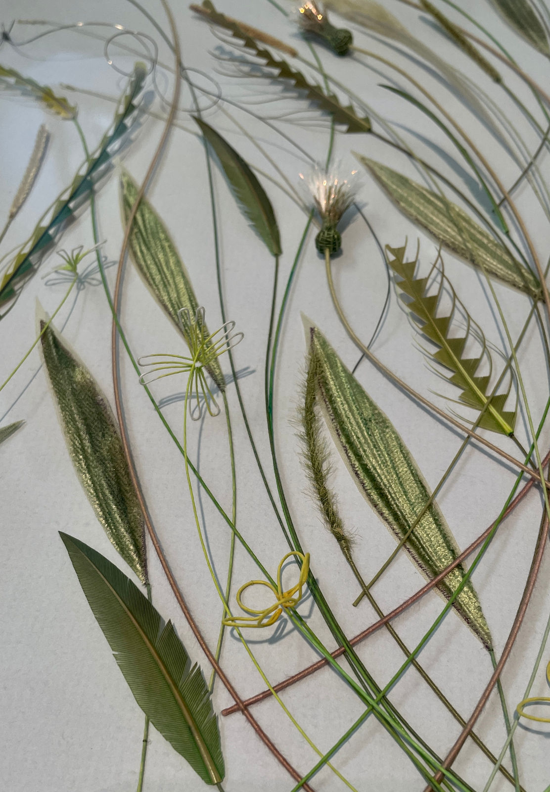Bridget Bailey, Dancing Grasses