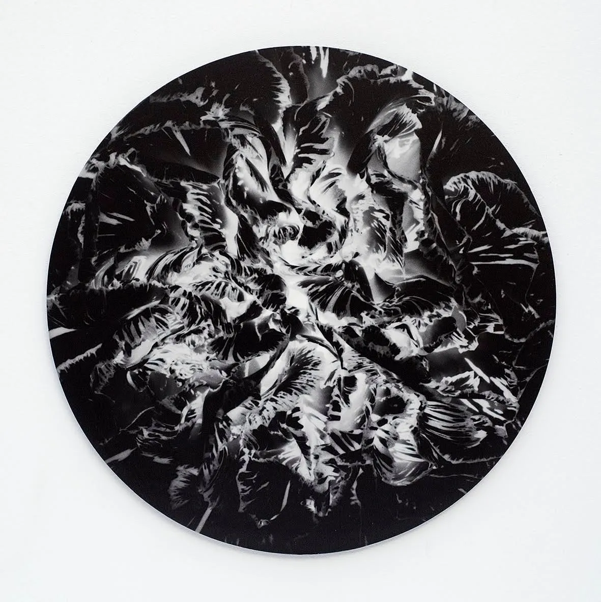 Sinje Dillenkofer, Carnation Series