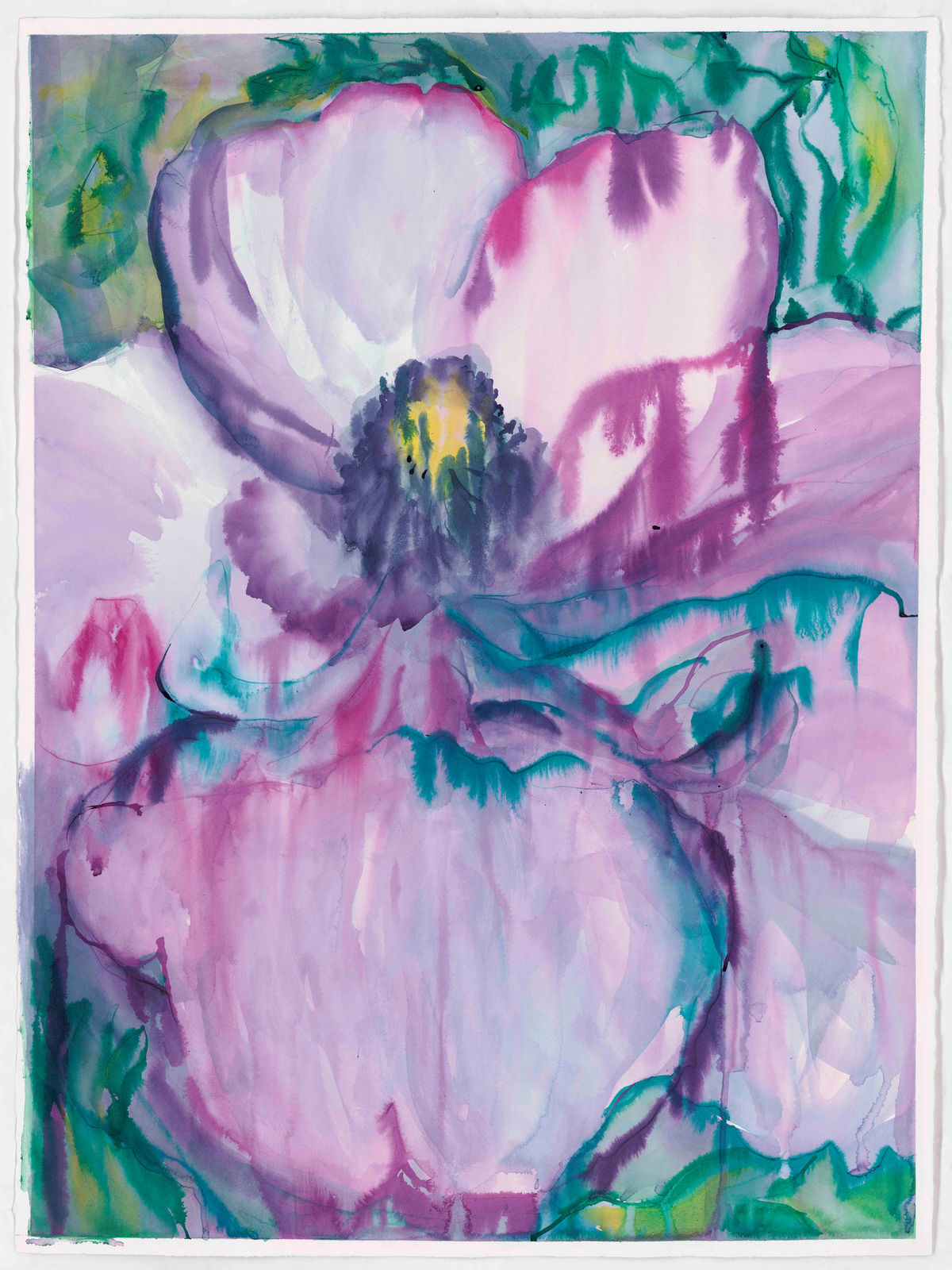 Jaki Doyka, Anemone #5 3.9.23 (Rancho Mirage, CA USA), 2023