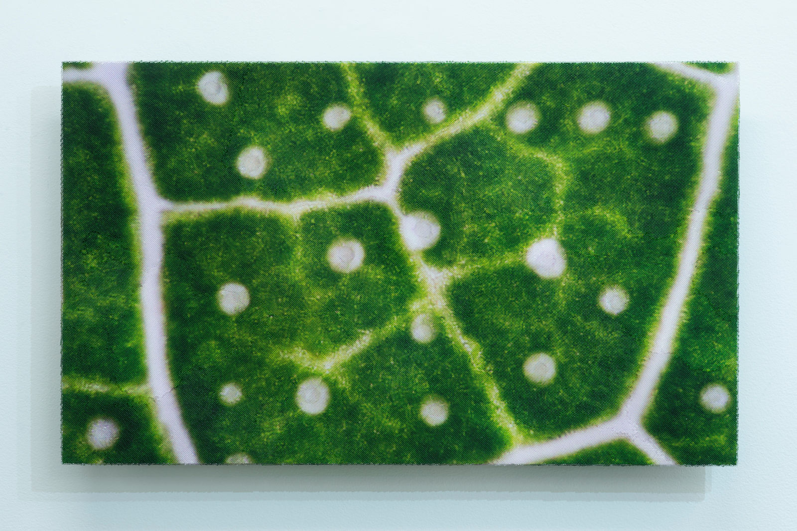 Elizabeth Thomson, My Titirangi Years – Rangiwai Road, Tennis in the Bush, 2018