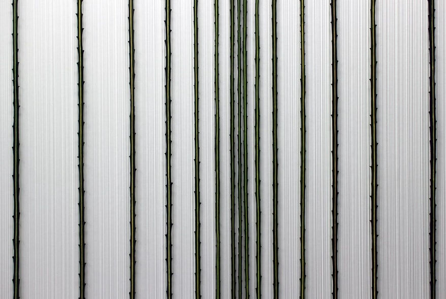 Elizabeth Thomson, Hi Fi, 2006