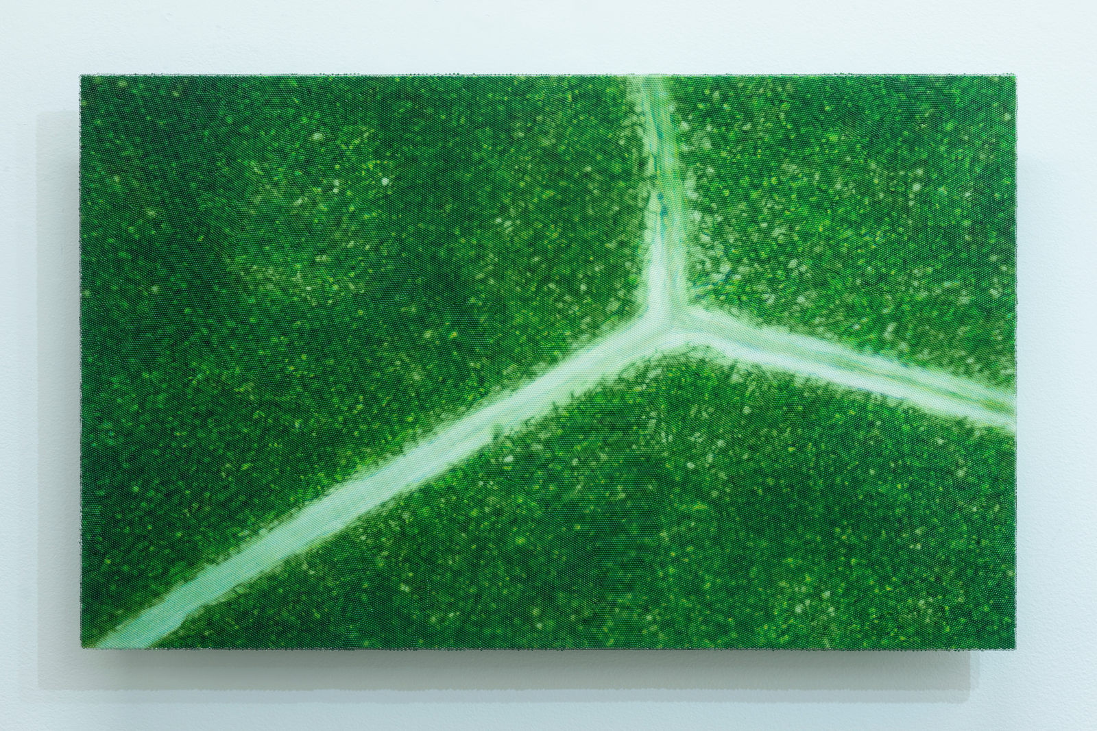 Elizabeth Thomson, My Titirangi Years – The Scenic Drive, 2018