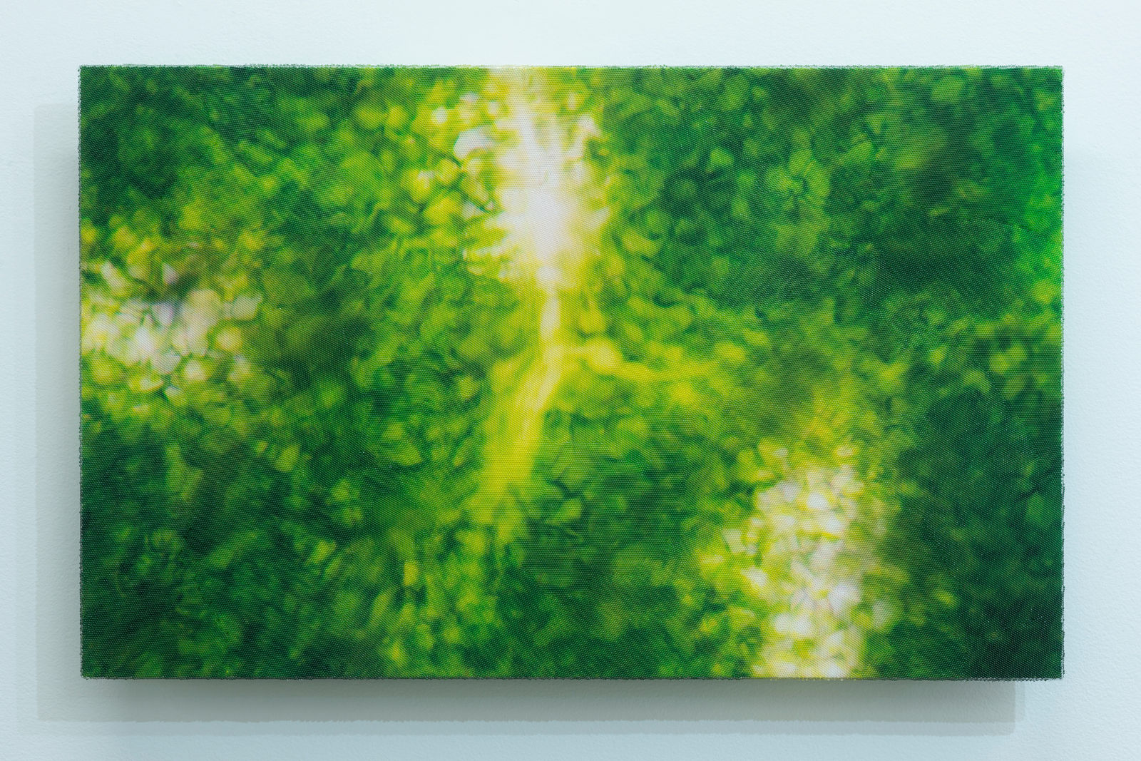 Elizabeth Thomson, My Titirangi Years – Koromiko, 2018