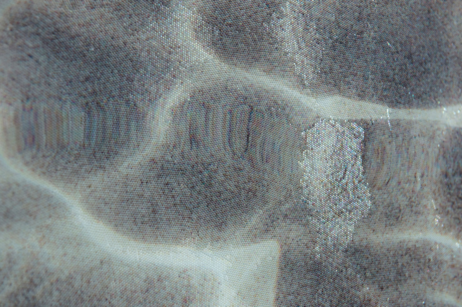 Elizabeth Thomson, My Titirangi Years – Theo Schoon and French Bay, 2018