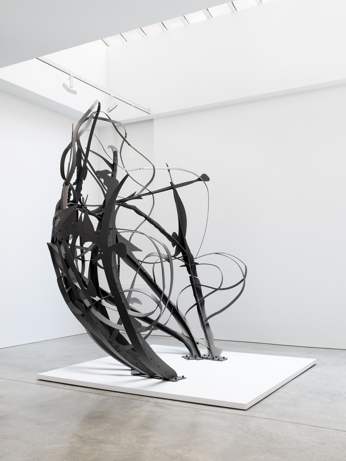 MATTHEW RITCHIE, Shadow Drawing, 2022