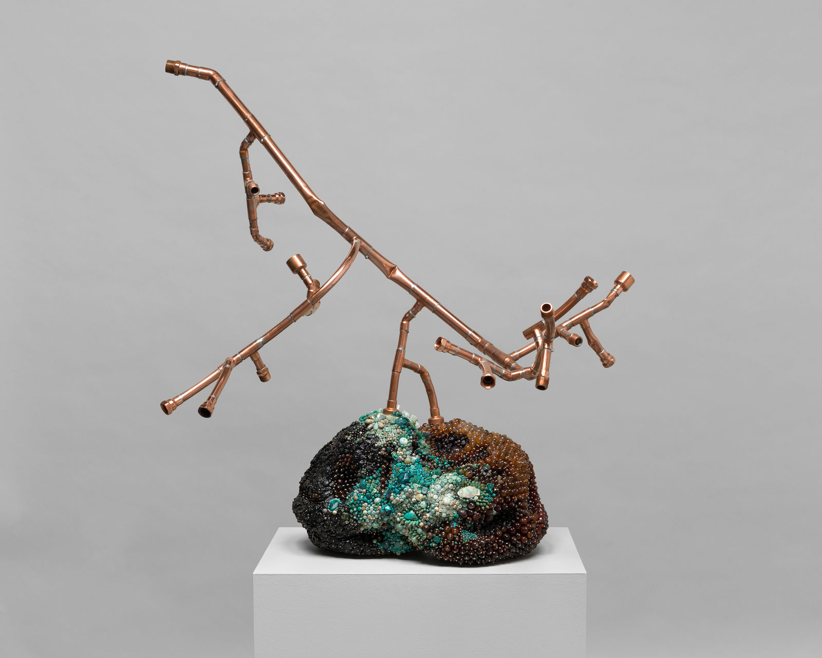 KATHLEEN RYAN, Bad Grapes (Desert Island), 2021