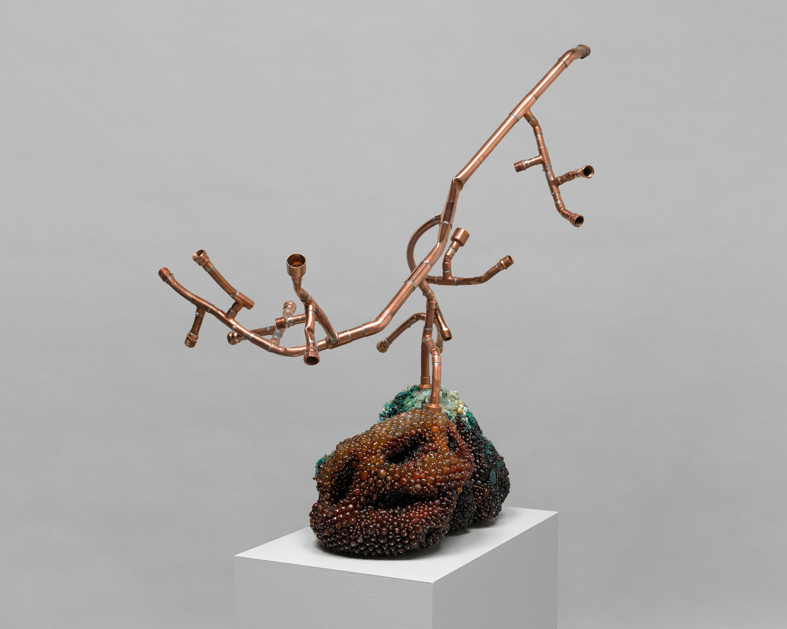 KATHLEEN RYAN, Bad Grapes (Desert Island), 2021