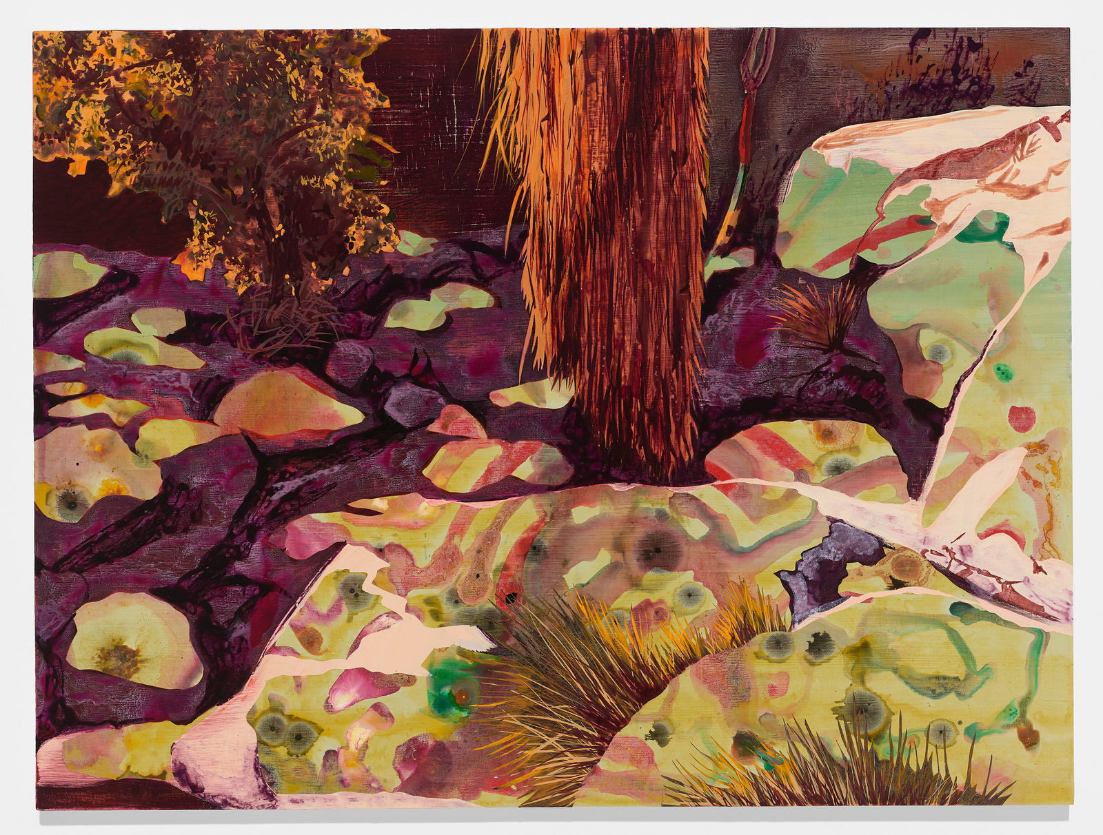 Eva Struble, Adobe Falls, 2022