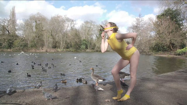 Rosie Gibbens, SeDUCKtion , 2019