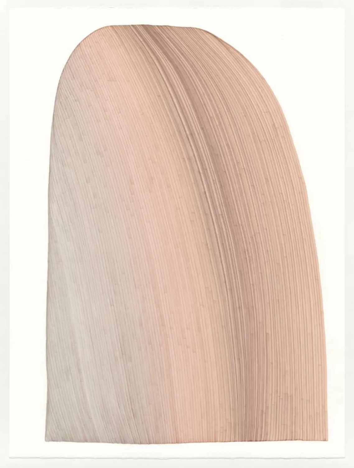 Dana Piazza, Lines 264, 2025