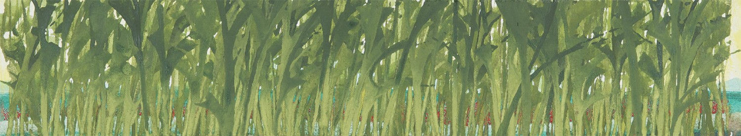 Michael Minas, Tropical Conditions