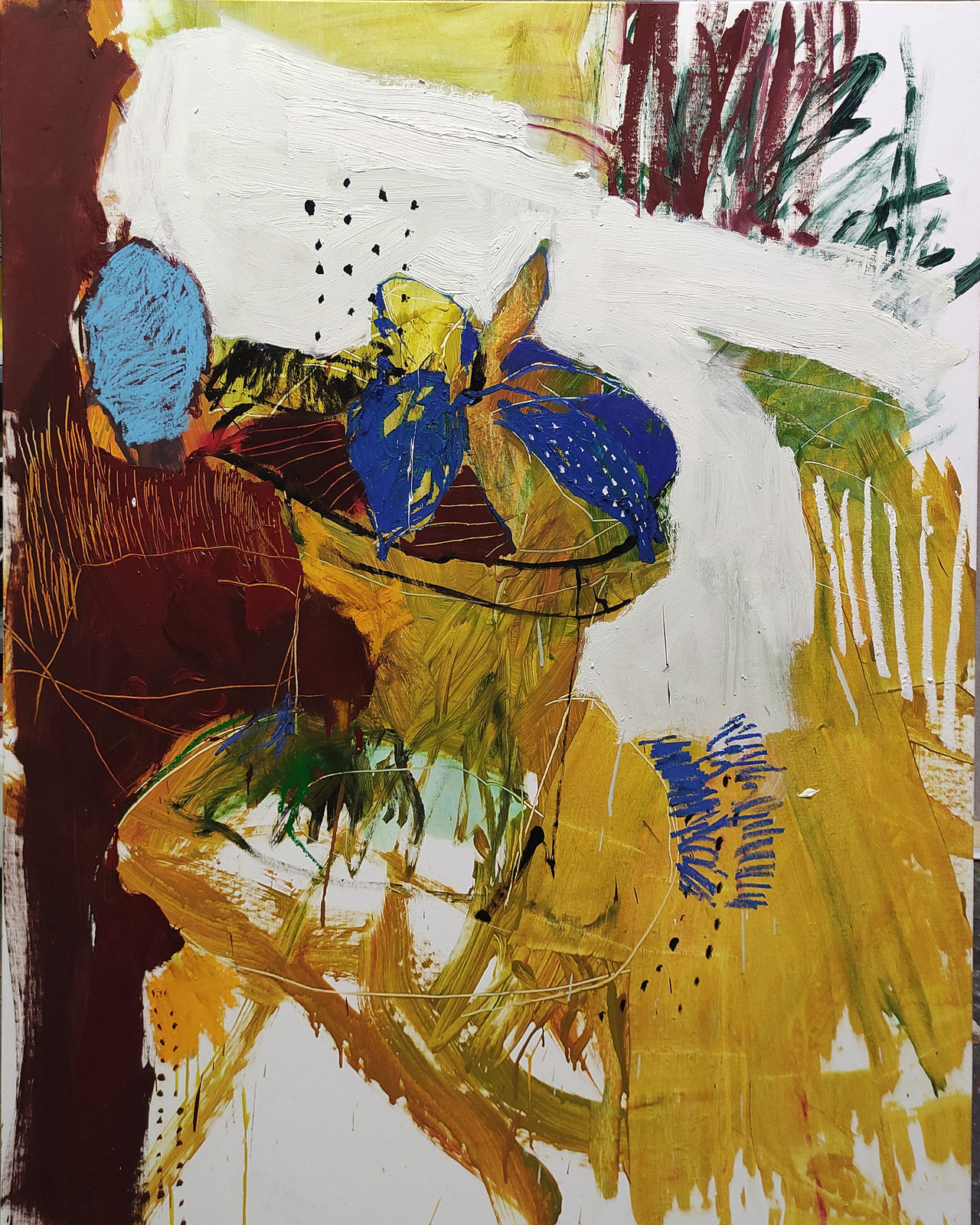 Luis Olaso, Composition for a Crassula, 2020