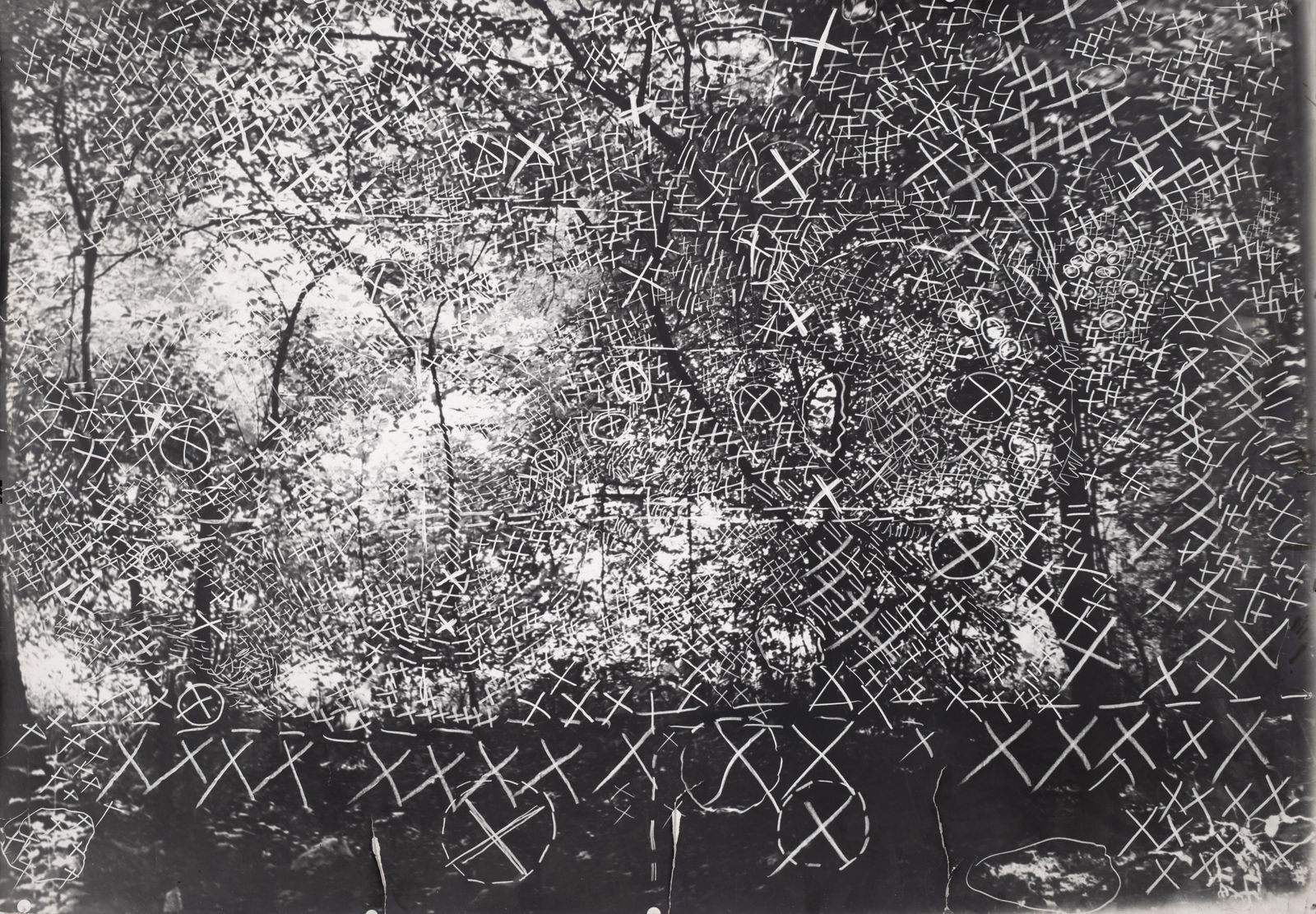Constantin Flondor, Stimuli at Green Forest, 1979-1981