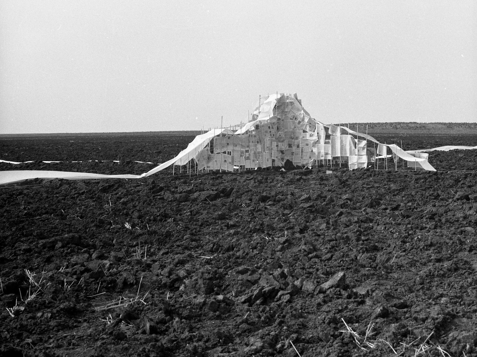 Constantin Flondor, Iosif Kiraly, Lavinia Mirsu, Intervention on a Black Field, Teremia, 1983