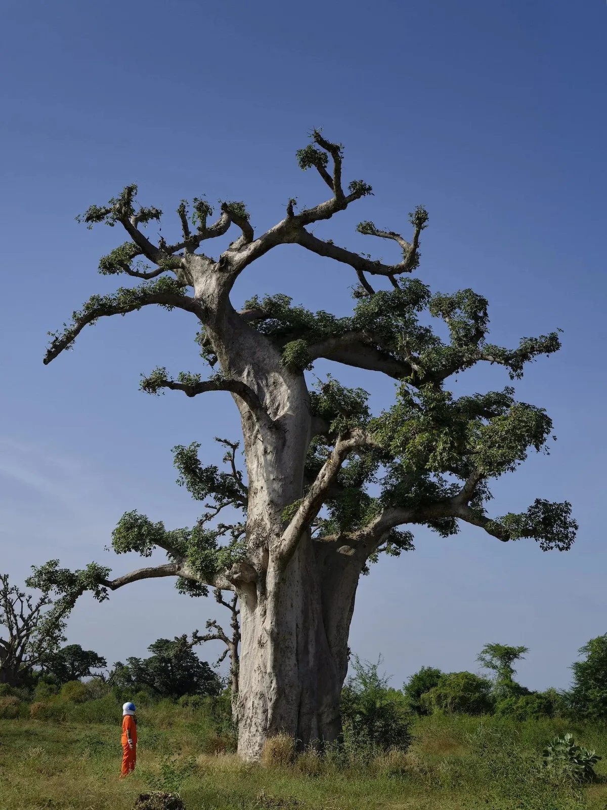 Lola Flash, The Little Prince, Sindia, Senegal (syzygy, the vision Series), 2024