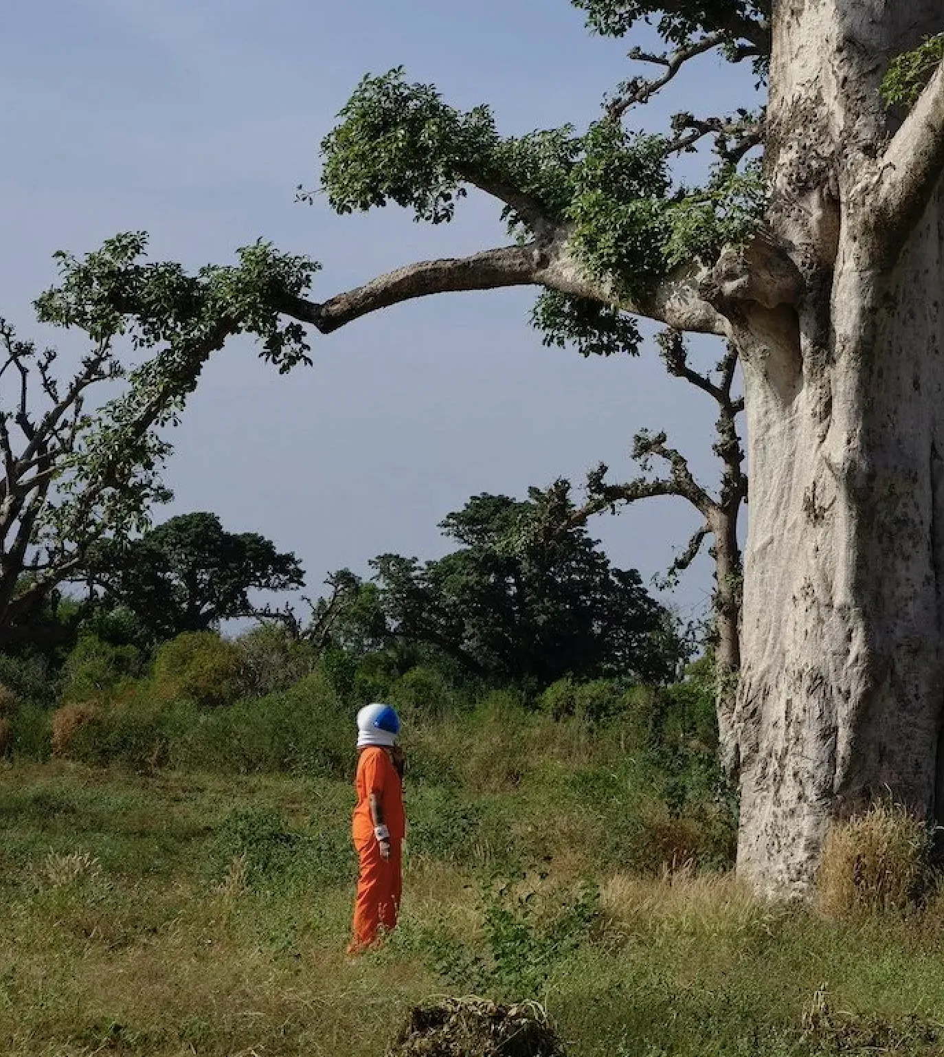 Lola Flash, The Little Prince, Sindia, Senegal (syzygy, the vision Series), 2024