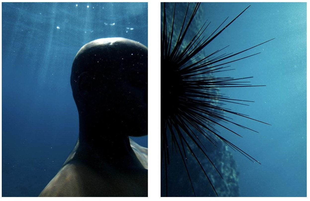 Nadia Huggins, Transformations No.1, 2015