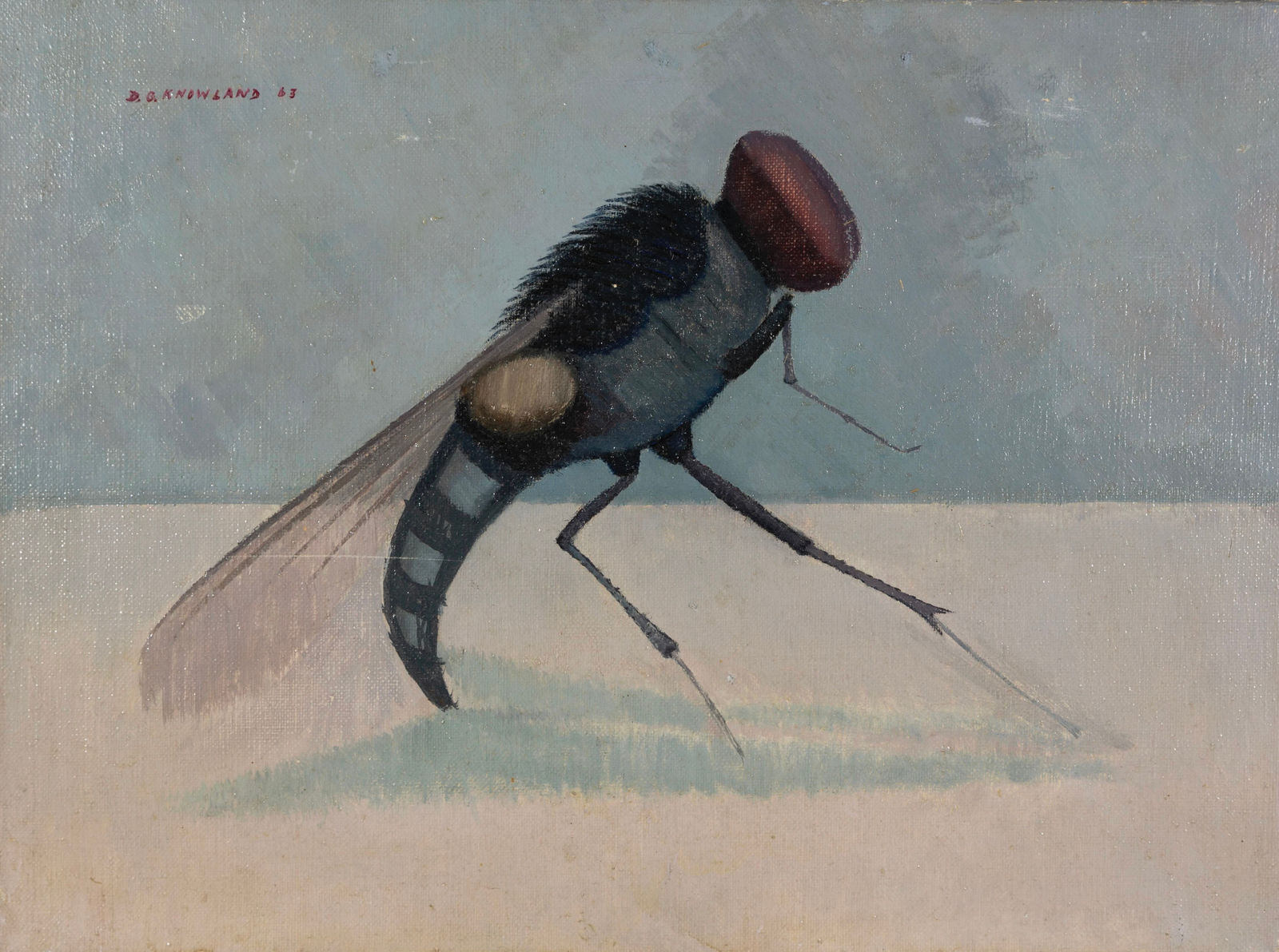 Dennis Knowland, Insect - The Fly, 1963