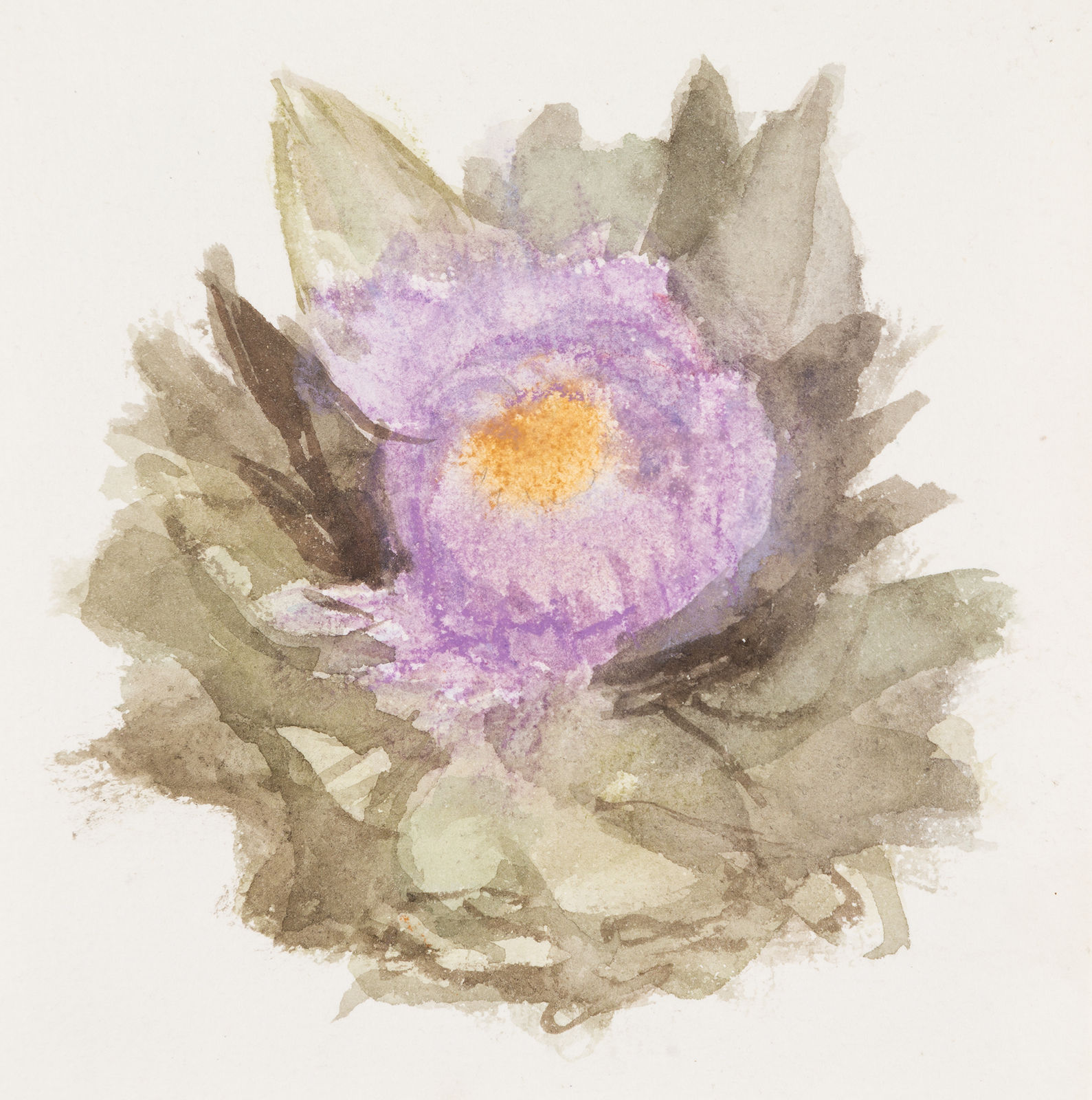 Mary Potter, Artichoke Flower
