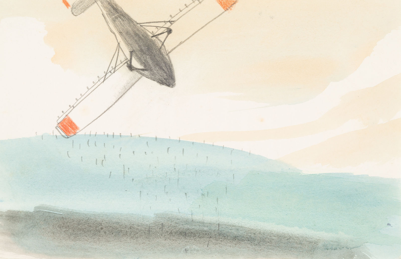 Mary Newcomb, The Spray Plane