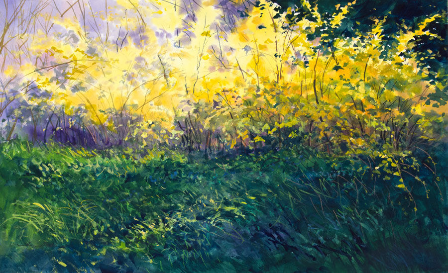 Thomas McNickle, BACKLIT FORSYTHIA HEDGE, 1997