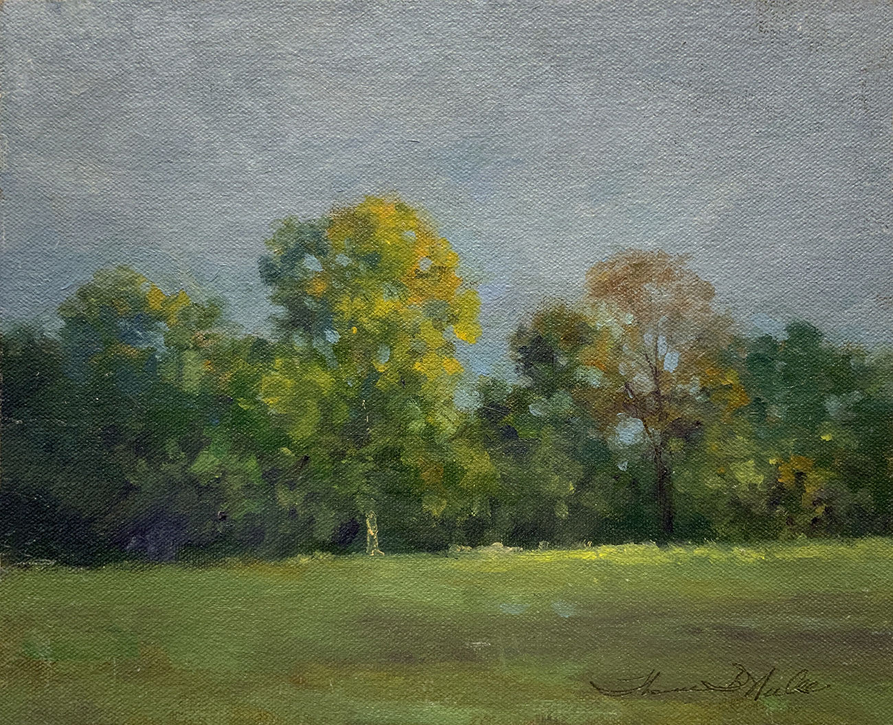 Thomas McNickle, SUNLIT TREETOPS, 2006