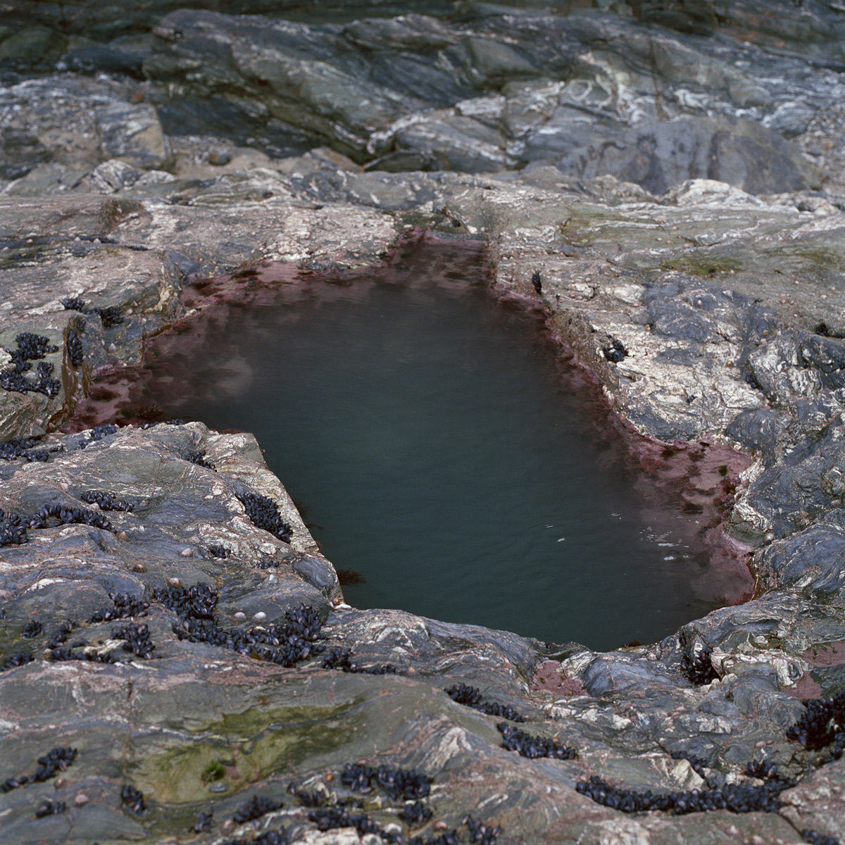 Jhana Millers Art Gallery Wellington Caroline McQuarrie