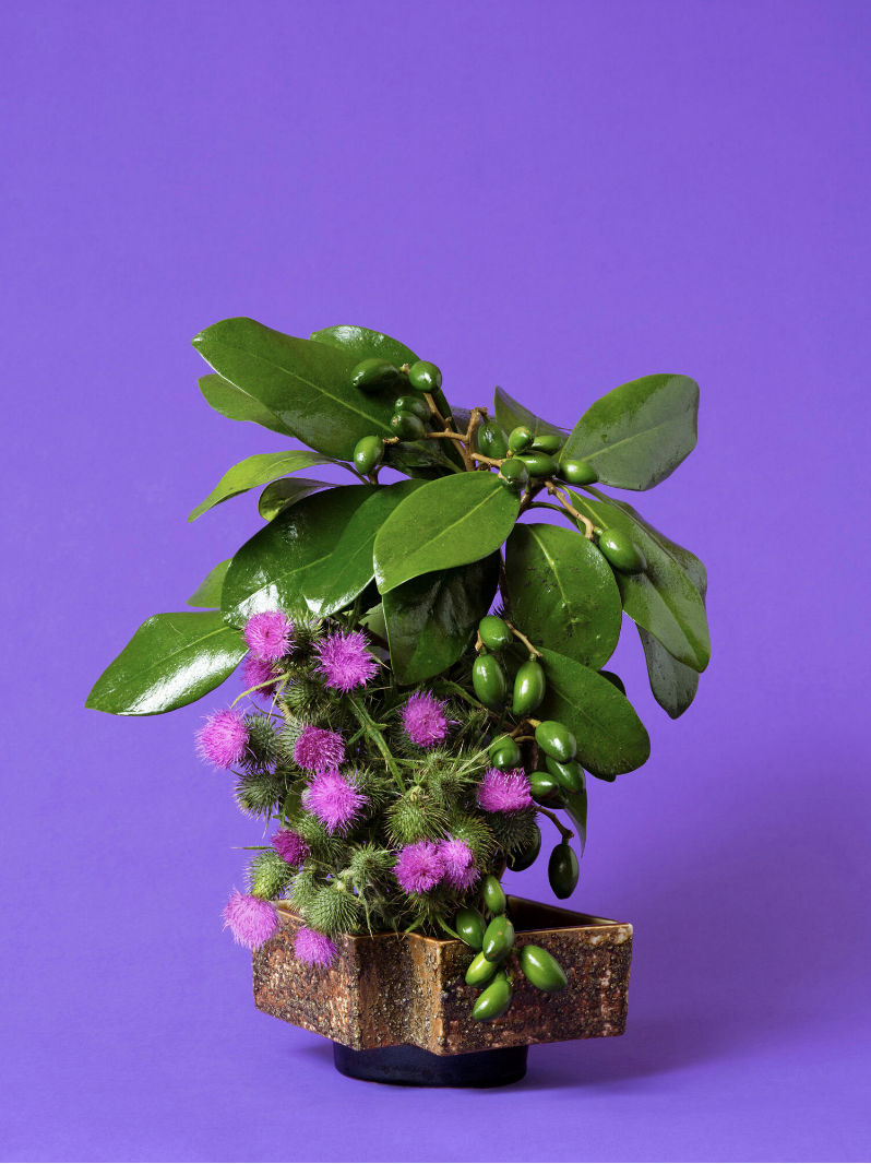 Ann Shelton Jhana Millers Gallery