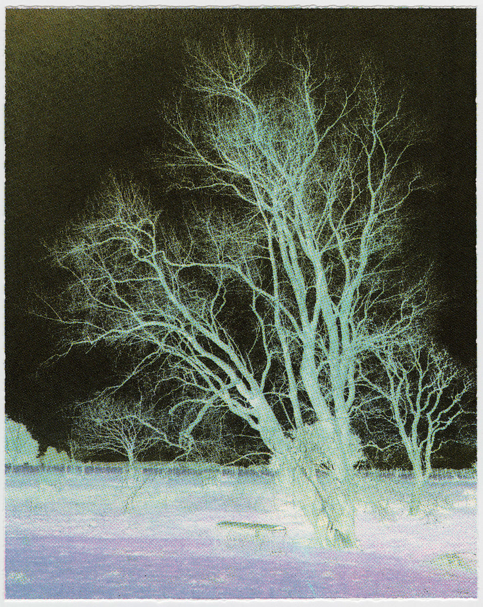 Caroline McQuarrie and Marci Tackett Jhana Millers Gallery