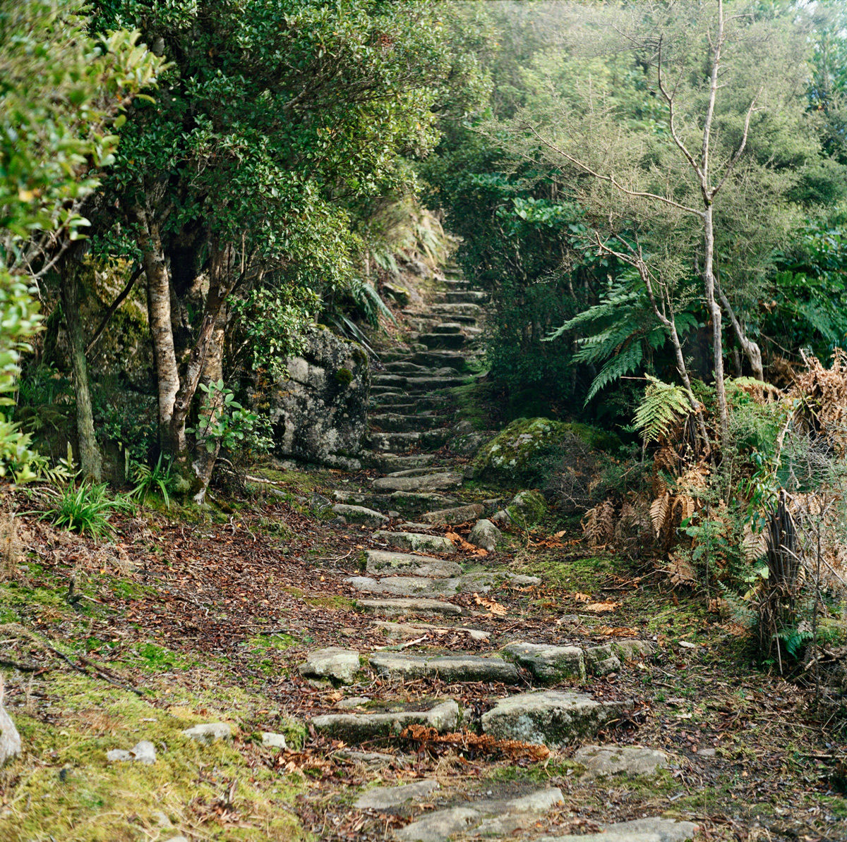 Jhana Millers Art Gallery Wellington Caroline McQuarrie