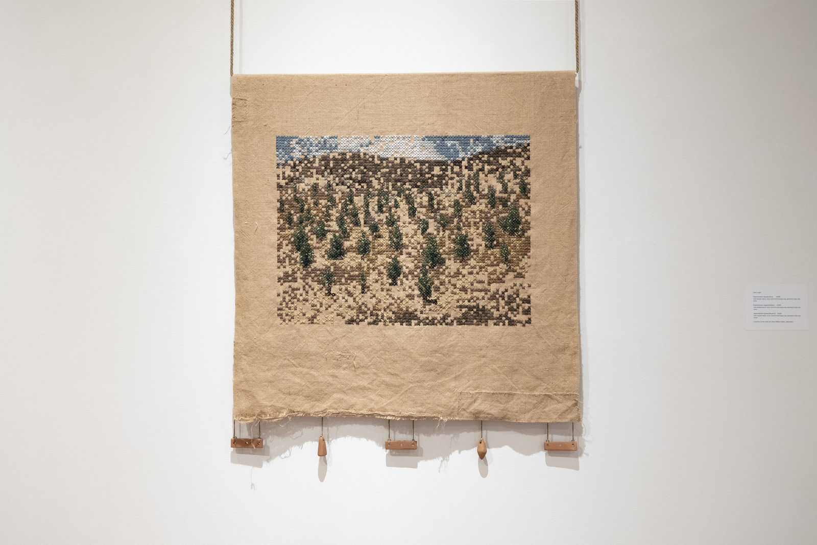 Caroline McQuarrie, Improvement (diversification), 2026