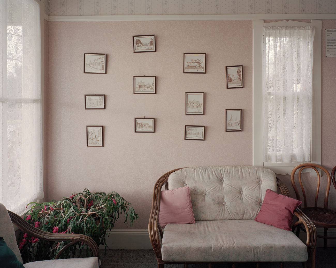 Jhana Millers Art Gallery Wellington Harry Culy