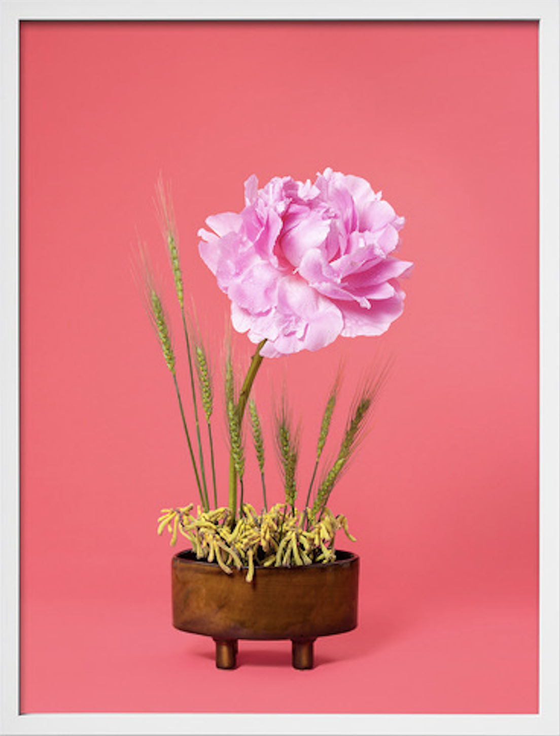 Ann Shelton Jhana Millers Gallery