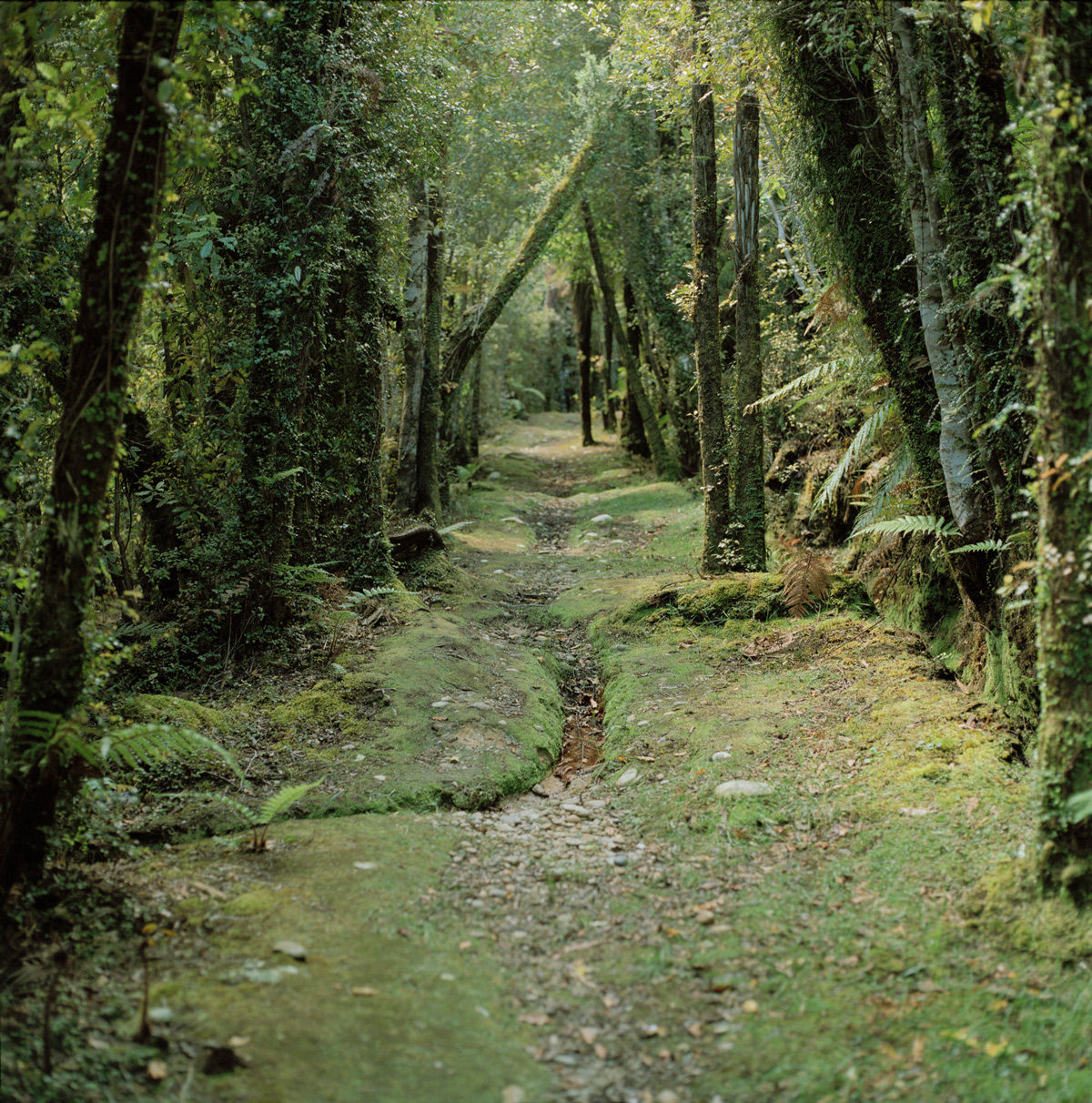 Jhana Millers Art Gallery Wellington Caroline McQuarrie