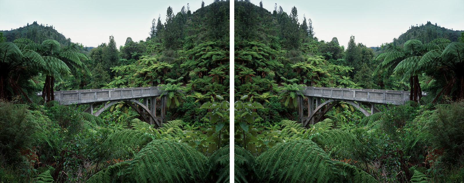 Ann Shelton Jhana Millers Gallery