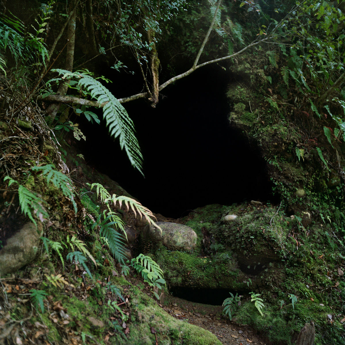 Jhana Millers Art Gallery Wellington Caroline McQuarrie