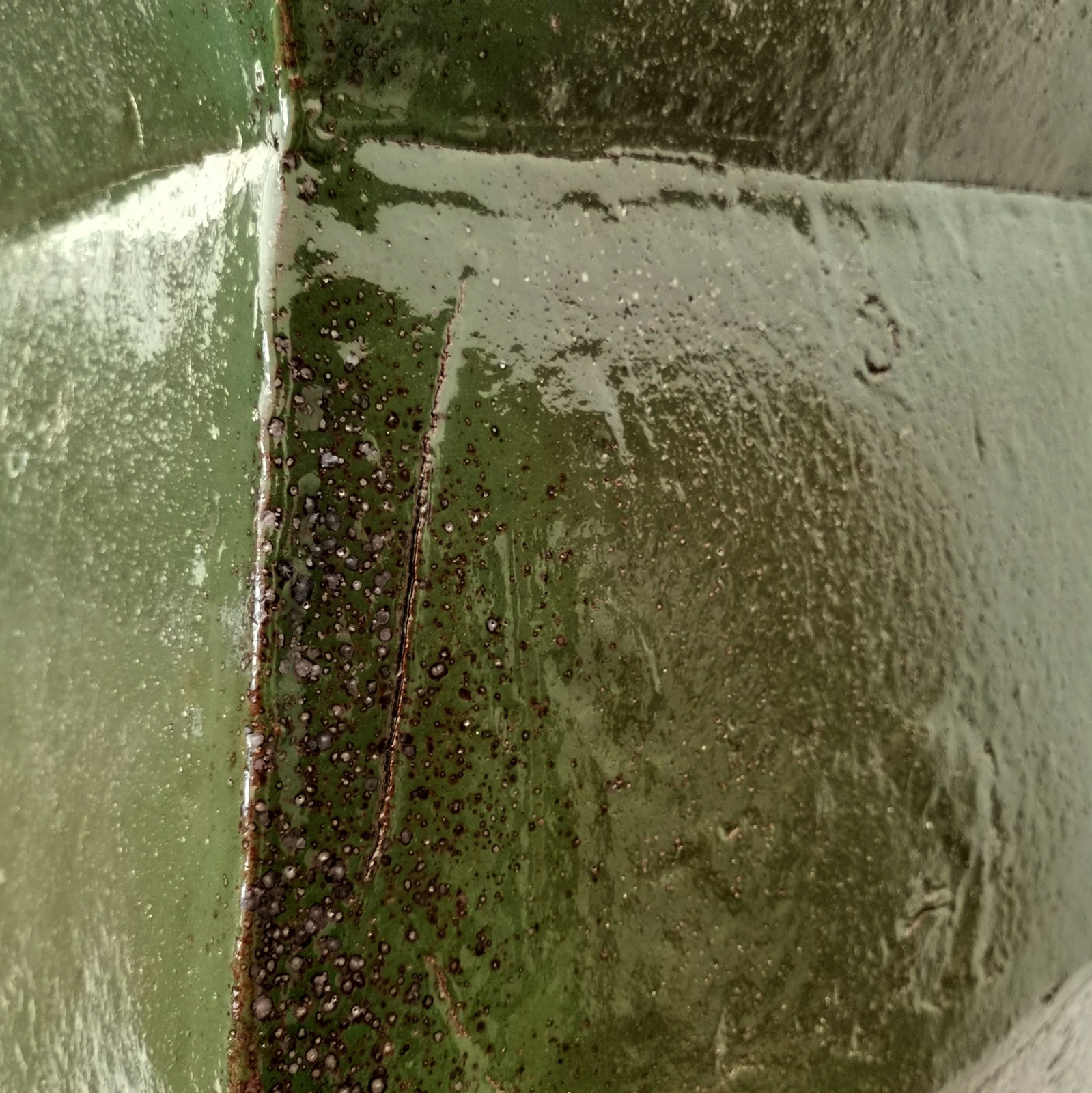 Jaime Jenkins Aotearoa Art Fair