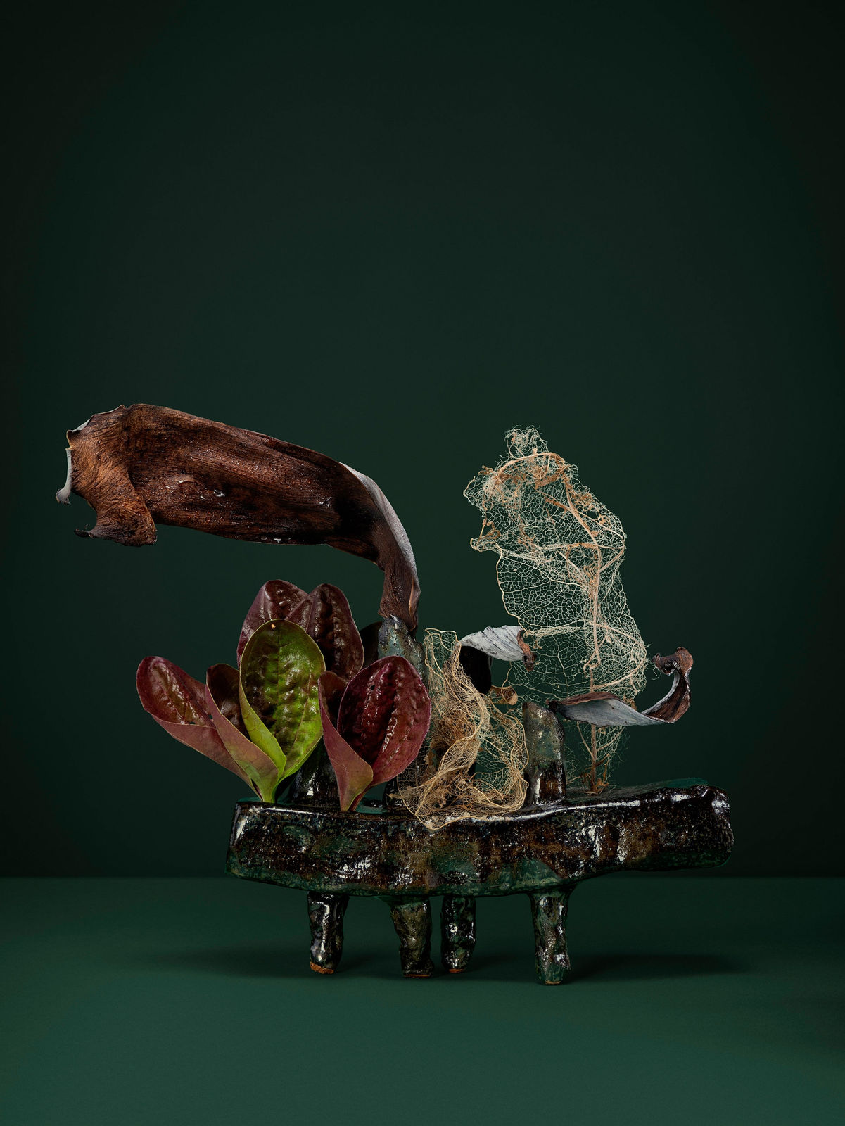 Ann Shelton Jhana Millers Gallery